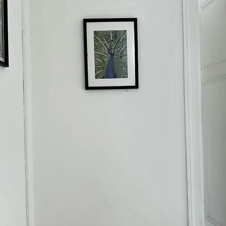 Habitación en casa particular Conde Do Redondo Lisboa